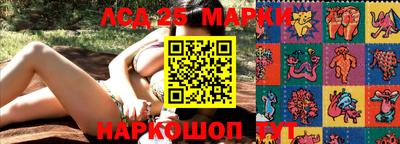 прущие крисы Абинск