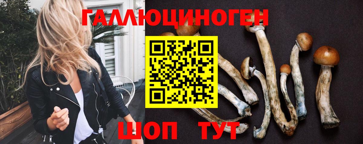 Алейск  Галлюциногенные грибы Magic Shrooms  Вход с VPN  Галлюциногенные грибы GOLDEN TEACHER 