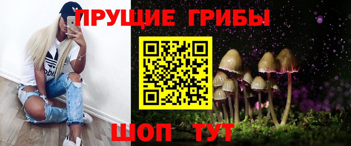 Псилоцибиновые грибы Psilocybe Алейск
